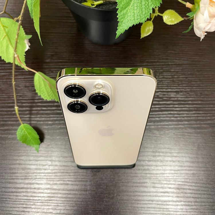 iPhone 13Pro 256GB  SIMե꡼ ̵