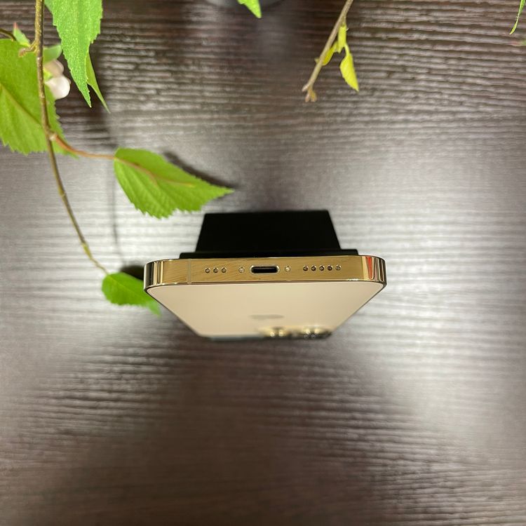 iPhone 13Pro 128GB  SIMե꡼ ̵