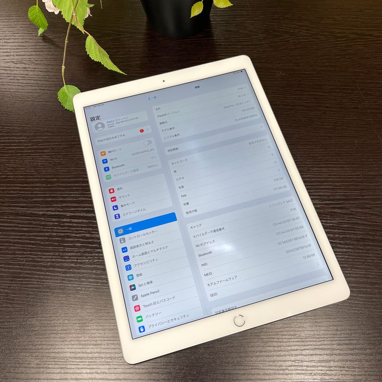 iPad Pro 12.91128GB Wi-Fi + Cellularǥ