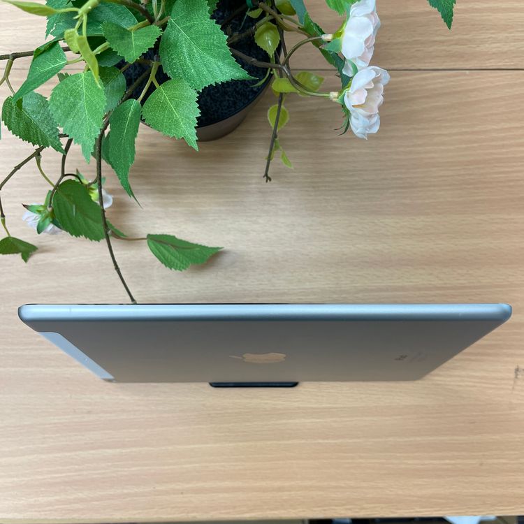 iPad Air 1 64GB Wi-Fi + Cellularǥ