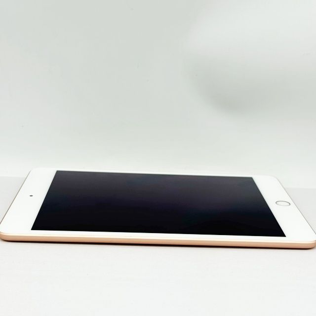 iPad mini ��5���� Wi-Fi+Cellular ��ǥ� 64GB �������