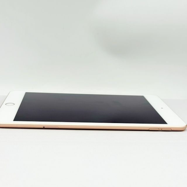 iPad mini ��5���� Wi-Fi+Cellular ��ǥ� 64GB �������