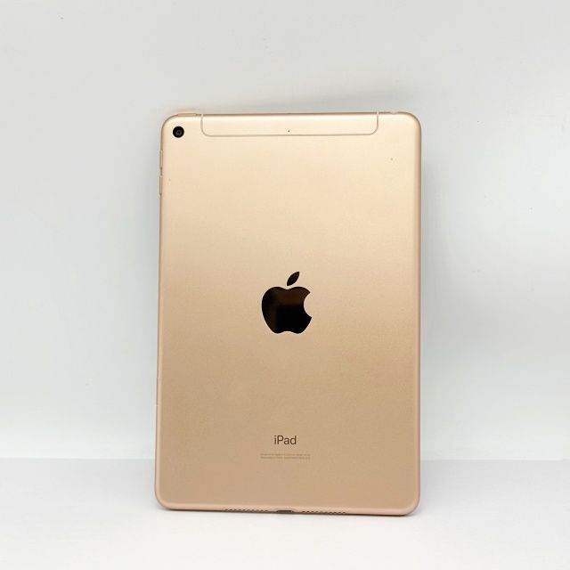 iPad mini ��5���� Wi-Fi+Cellular ��ǥ� 64GB �������