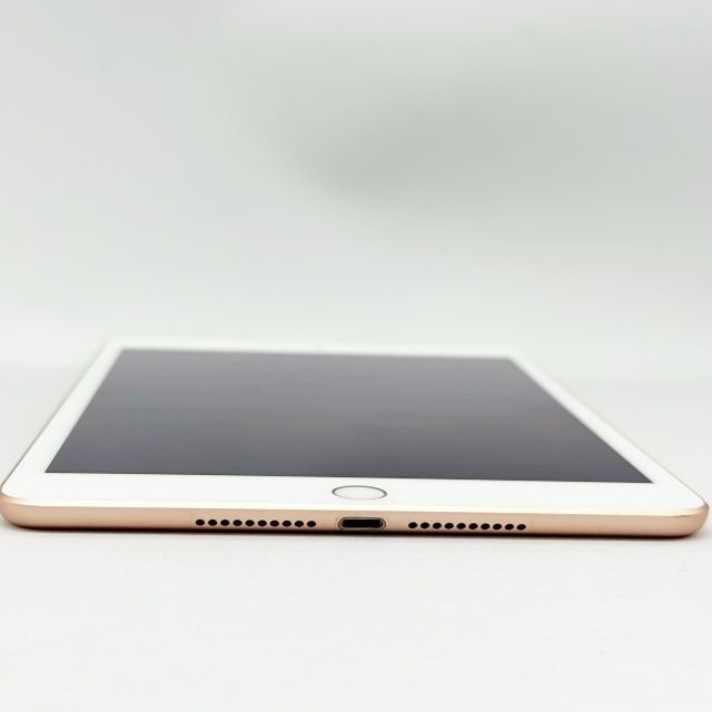 iPad mini ��5���� Wi-Fi+Cellular ��ǥ� 64GB �������