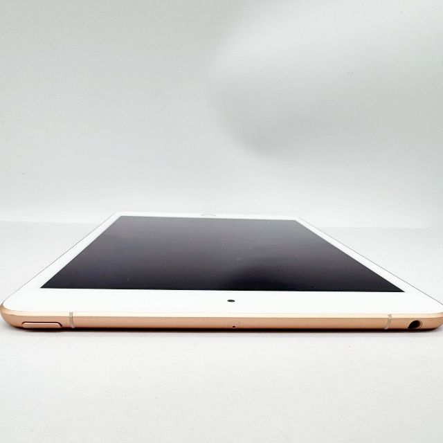 iPad mini ��5���� Wi-Fi+Cellular ��ǥ� 64GB �������