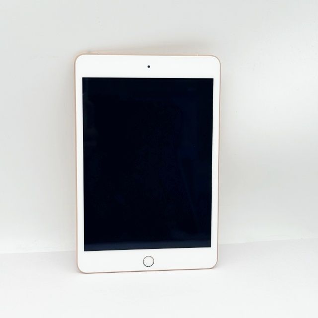 iPad mini ��5���� Wi-Fi+Cellular ��ǥ� 64GB �������