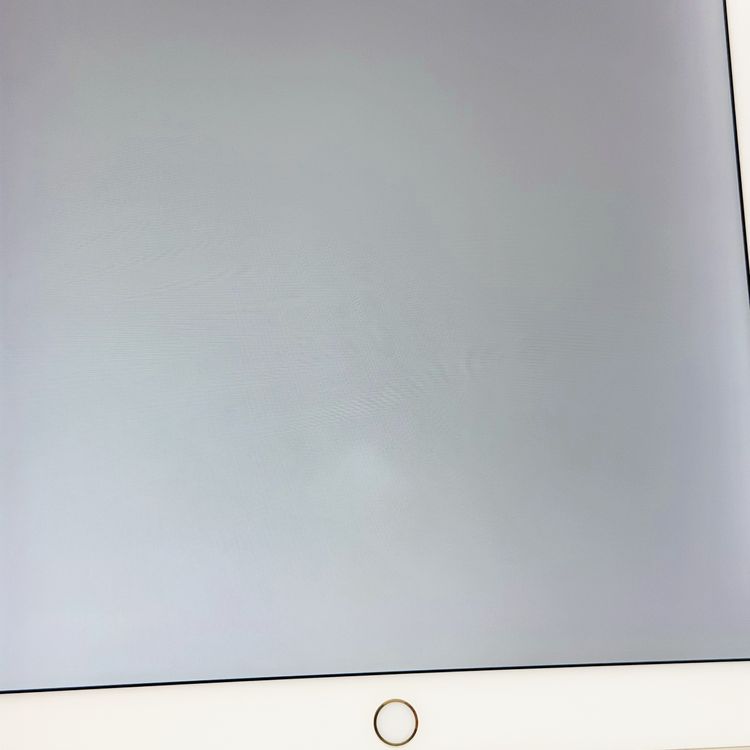 �ڥХåƥ꡼81���iPad Pro 12.9����� Wi-Fi��ǥ� 128GB �������