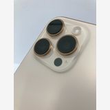 ������100���iPhone16 Pro Max 256GB