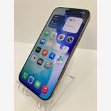 ������100���iPhone16 Pro Max 256GB