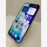 ������100���iPhone16 Pro Max 256GB