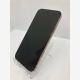 ������100���iPhone16 Pro Max 256GB