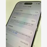 ������100���iPhone16 PRO 256GB