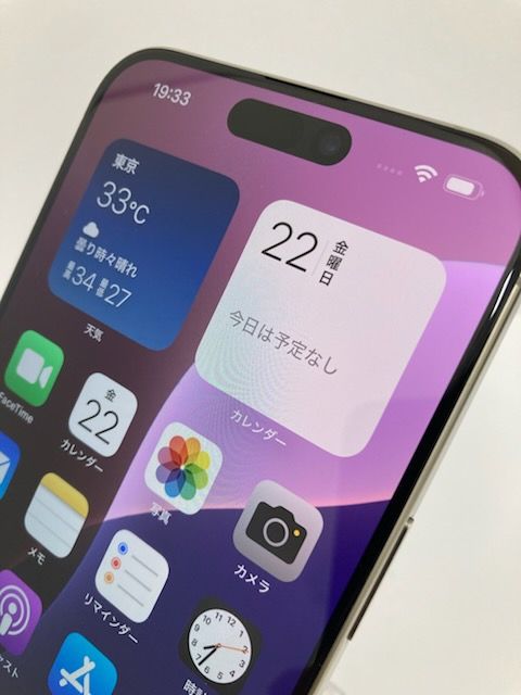 100iPhone15 Pro Max 256GB