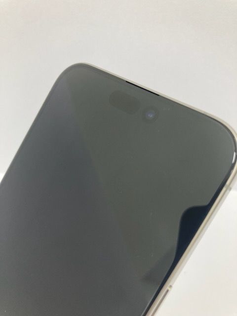 100iPhone15 Pro Max 256GB