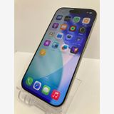 ������100���iPhone16 Pro��256GB