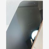 ������100���iPhone16 Pro Max 256GB