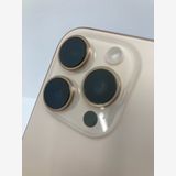 ������100���iPhone16 Pro Max 256GB