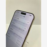 ������100���iPhone16 Pro Max 256GB