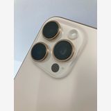 ������100���iPhone16 Pro Max 256GB