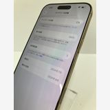 ������100���iPhone16 Pro Max 256GB