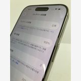 ������100���iPhone16 Pro 256GB