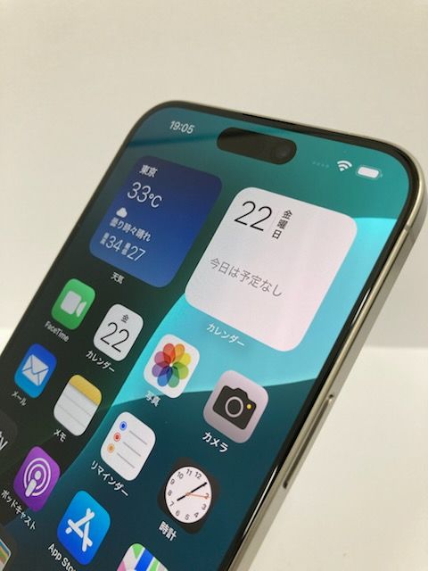 100iPhone15 Pro Max 256GB