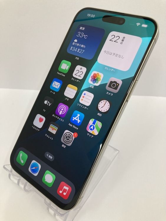 100iPhone15 Pro Max 256GB