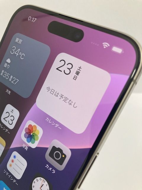 100iPhone15 Pro Max 256GB
