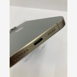 100iPhone15 Pro Max 256GB