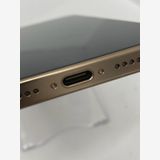 ������100���iPhone16 Pro Max 256GB