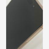 ������100���iPhone16 Pro Max 256GB