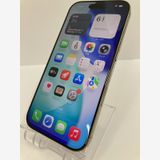 ������100���iPhone16 PRO 256GB