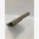 ������100���iPhone16 PRO 256GB