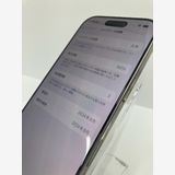 ������100���iPhone16 Pro 256GB