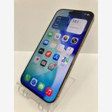 ������100���iPhone16 Pro Max 256GB