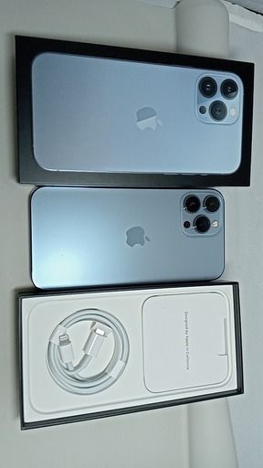 �����ѡ���iPhone13��Pro Max��256GB��������֥롼����259876996