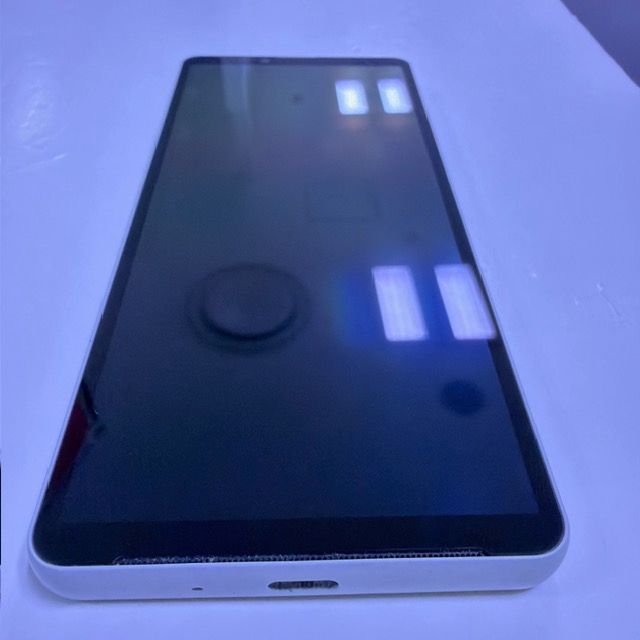 Xperia10VI��128GB���ۥ磻��