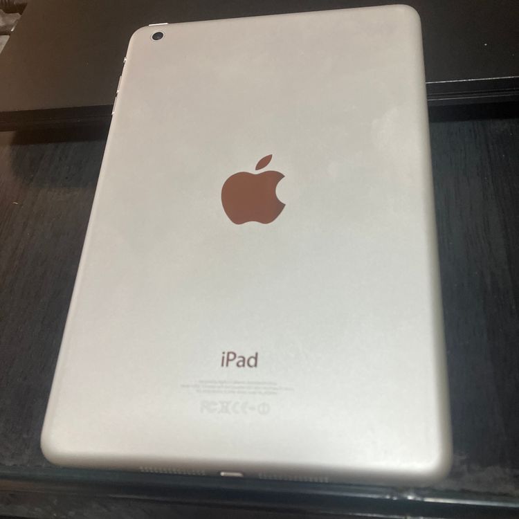 iPad mini �������