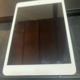 iPad mini �������