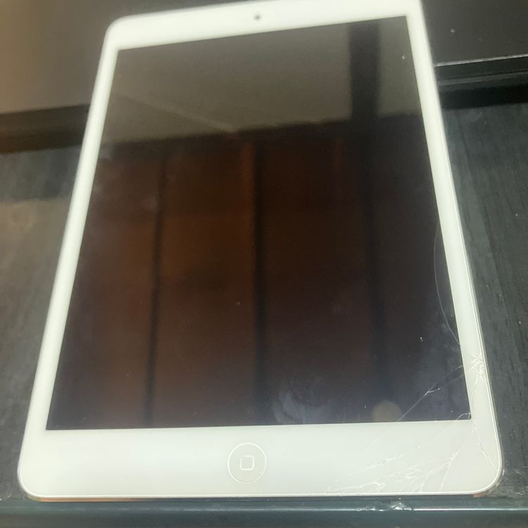 iPad mini �������