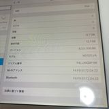 iPad mini �������