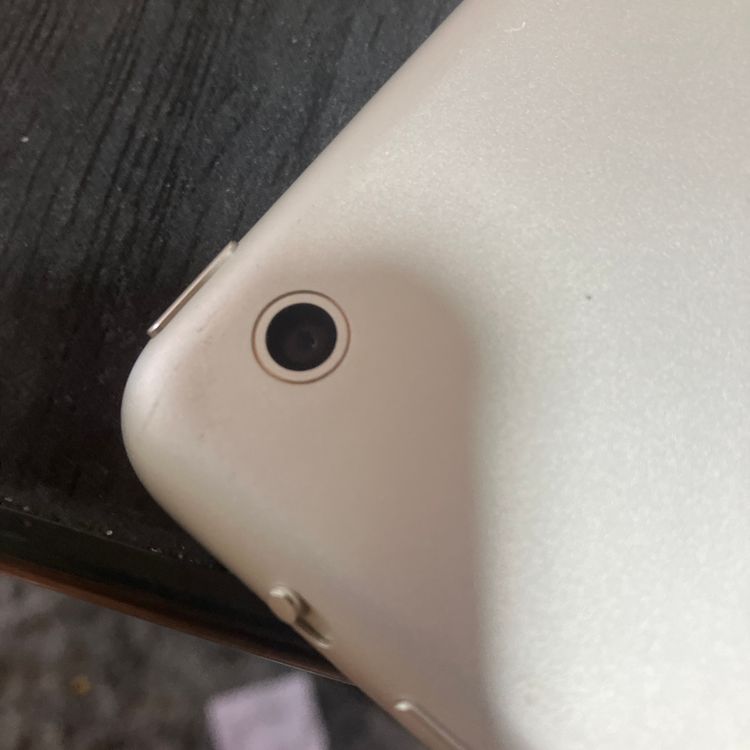 iPad mini �������