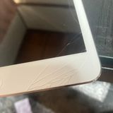 iPad mini �������