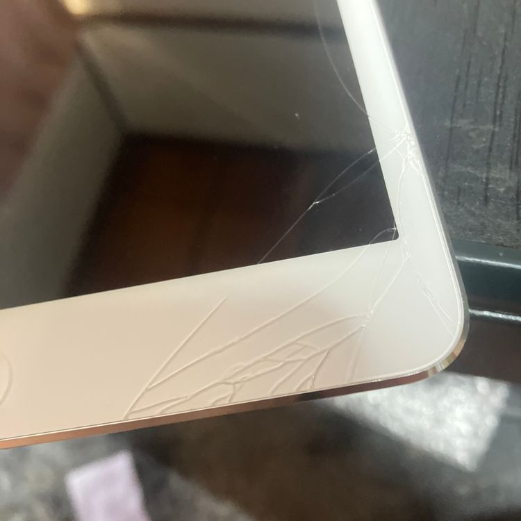 iPad mini �������
