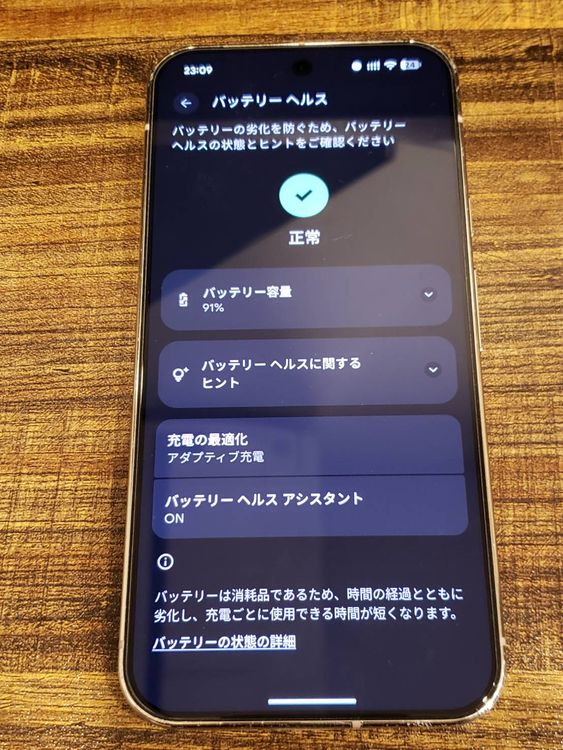 Pixel 9 Pro XL 256gb SIM�ե꡼