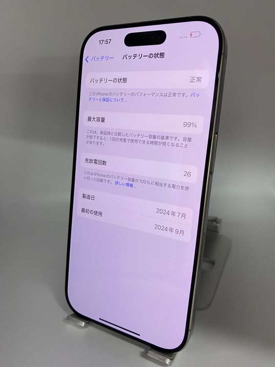 004★極美品★iPhone 16 Pro 256GB /純正バッテリー99%