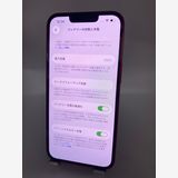 109�������ʡ����Ų��1���iPhone 13 256GB /�����Хåƥ꡼100%