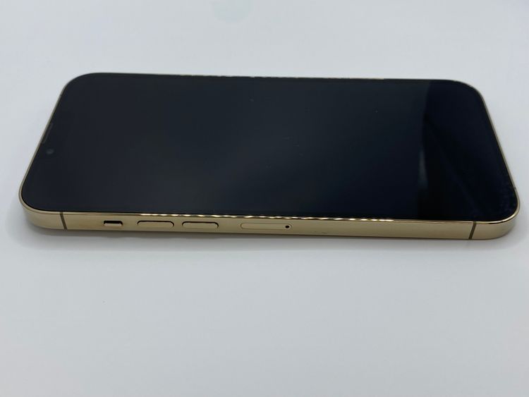 009ʡŲ1iPhone 13 Pro Max 256GB /Хåƥ꡼100%
