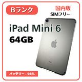 iPad Mini 6 64GB ���ڡ������쥤 ������SIM�ե꡼