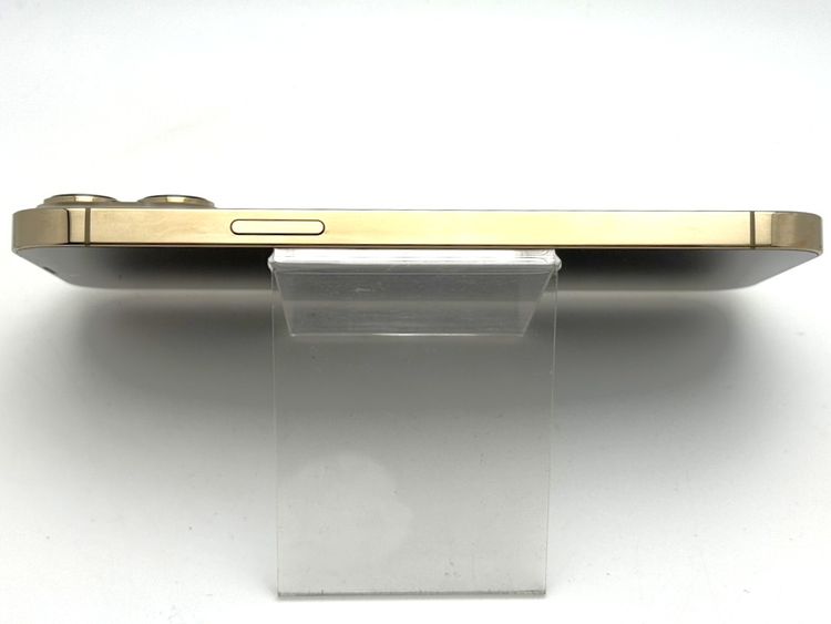 iPhone13 Pro Max 1TB   SIMե꡼